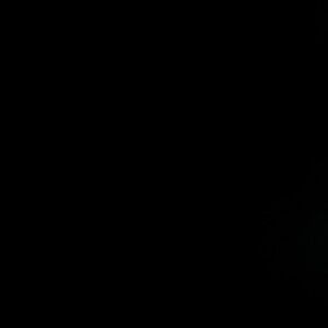 Meet your Posher, Ra'johnique